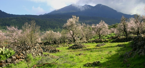 lapalma01