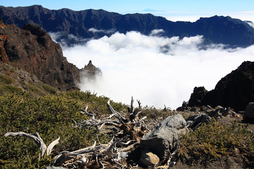 lapalma02